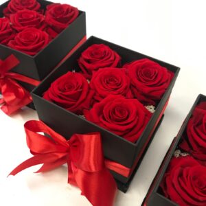 5 Rose stabilizzate Rosse