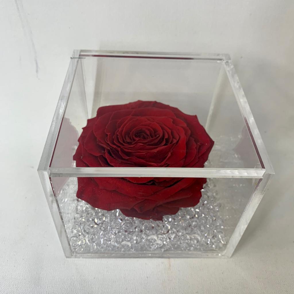 Rosa stabilizzata rossa XL - immagine 2