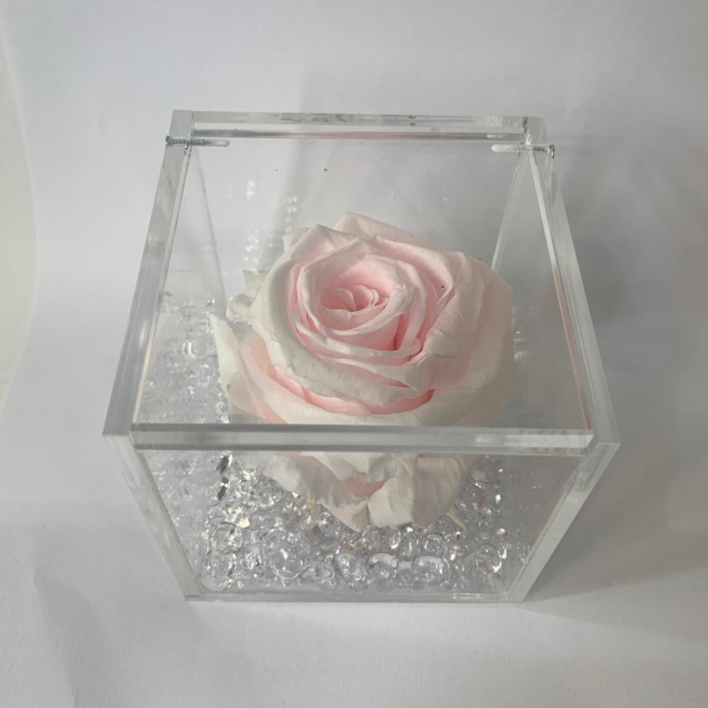 Rosa stabilizzata rosa chiaro - immagine 2