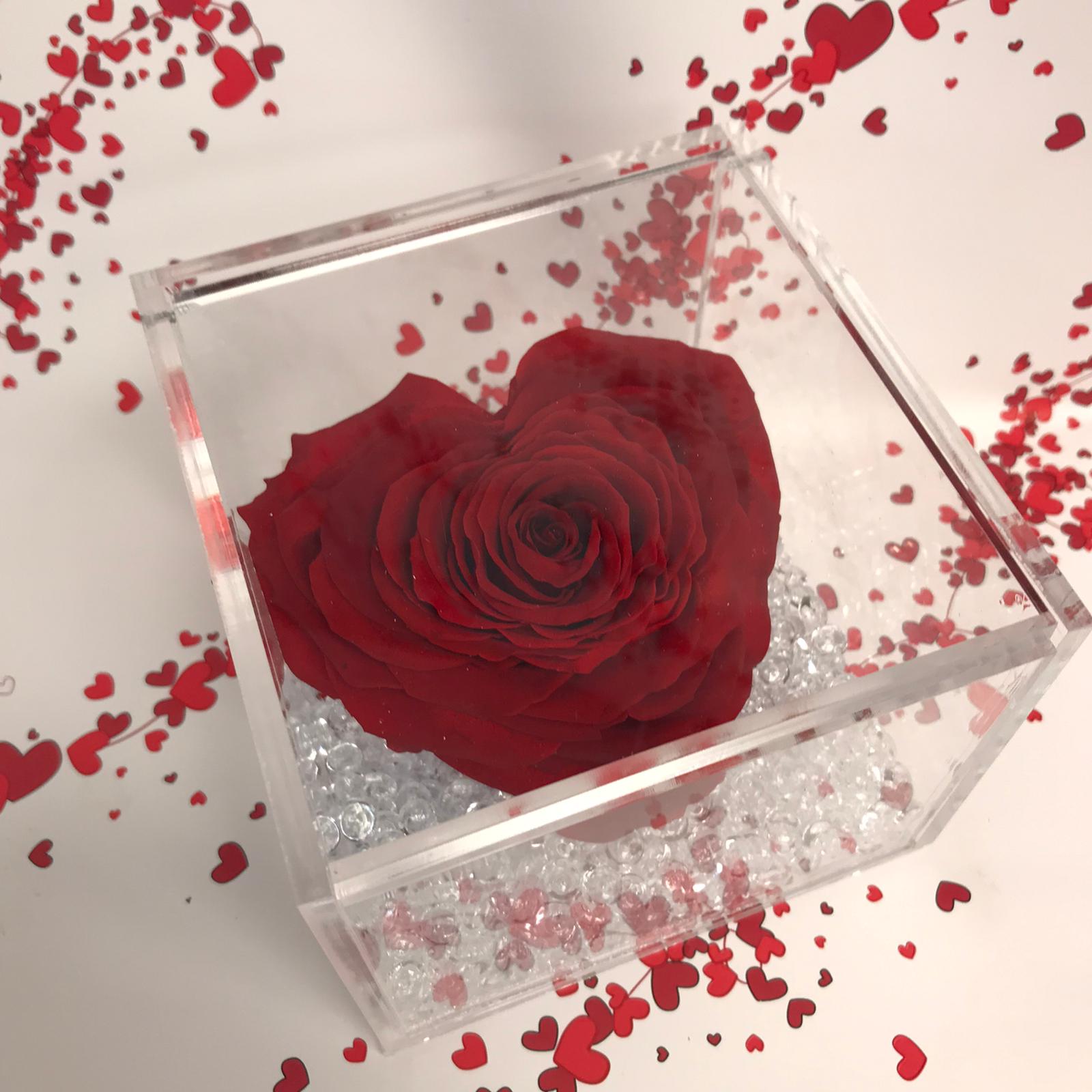Rosa forma di Cuore - stabilizzata - immagine 2