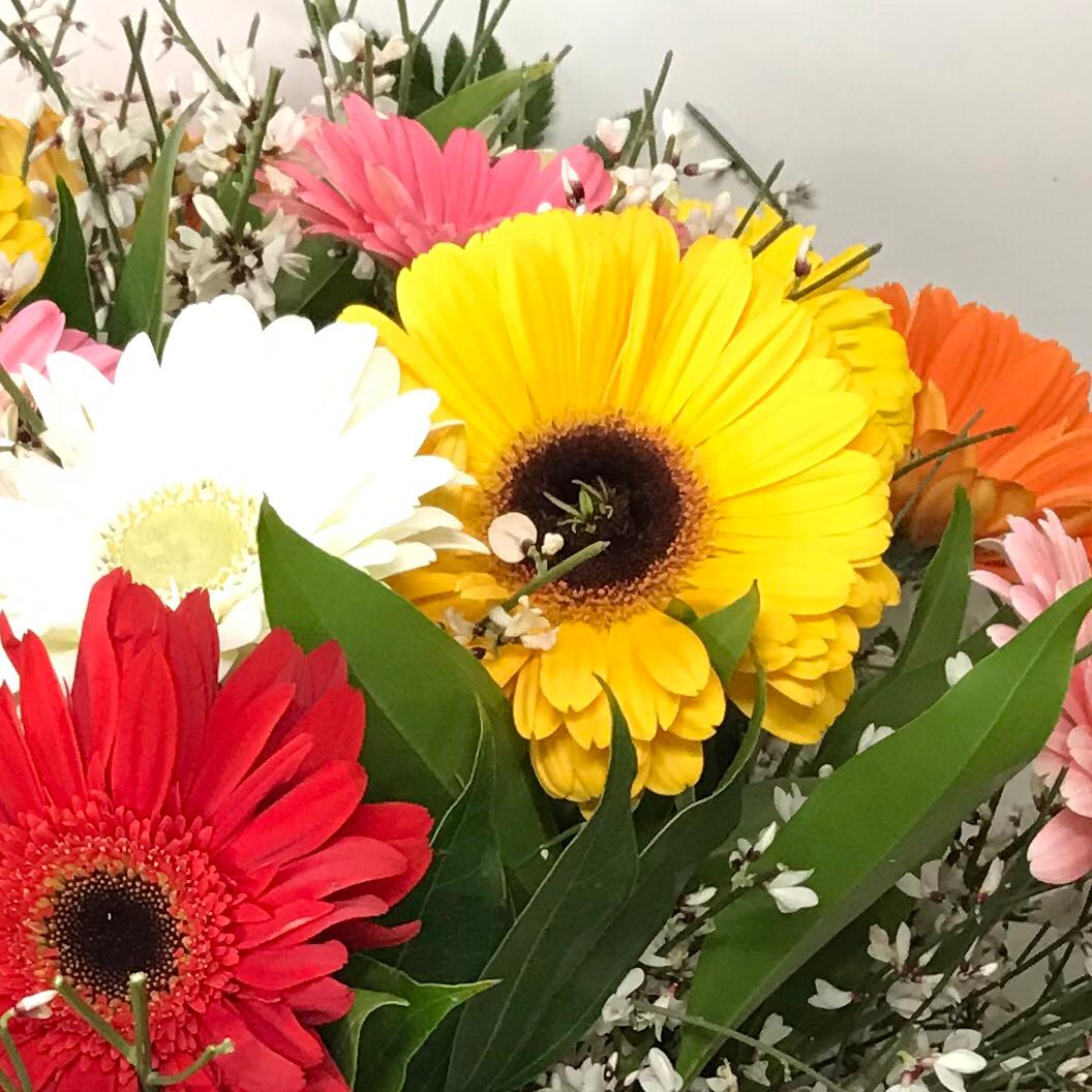 Bouquet di gerbere multicolore - immagine 3