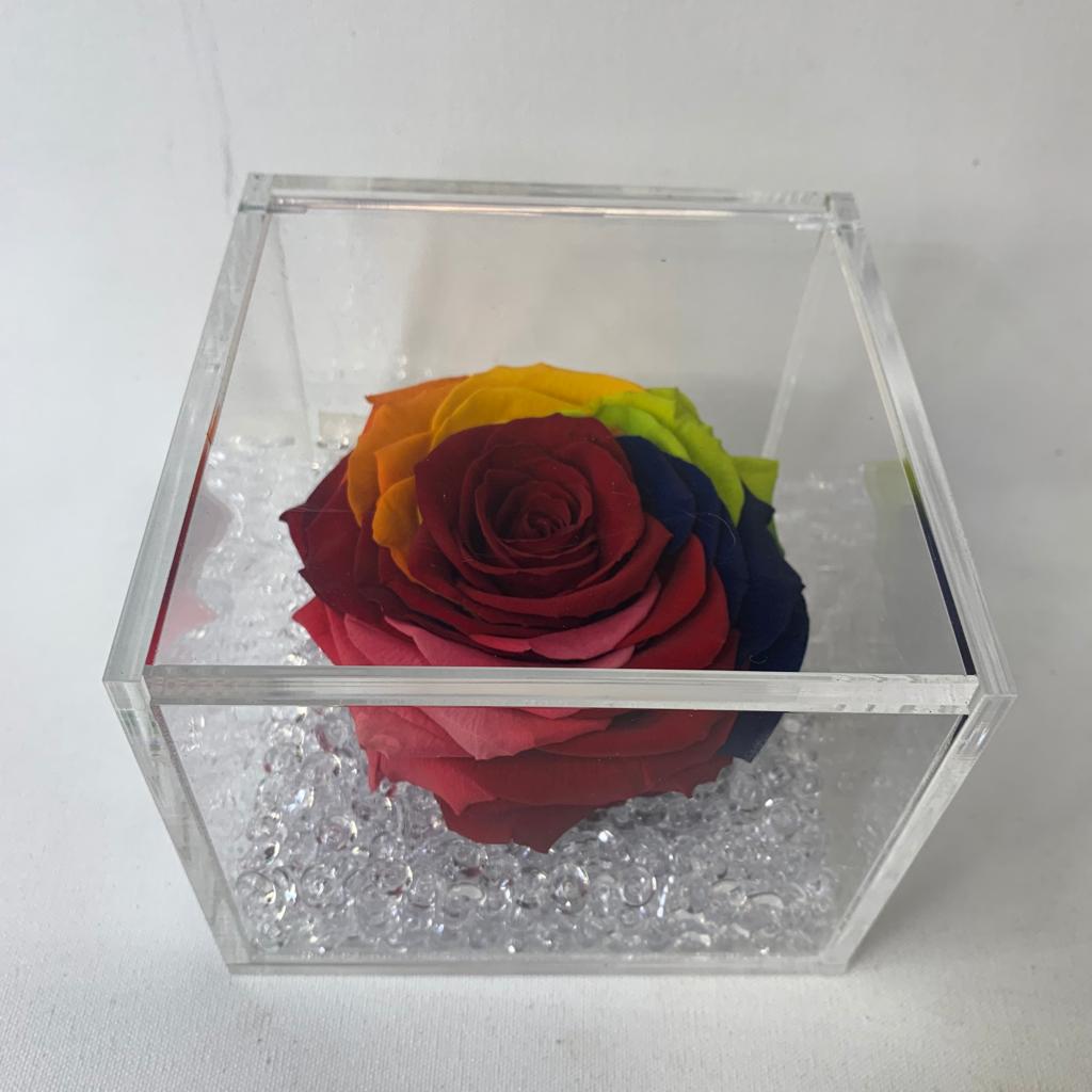 Rosa stabilizzata multicolore XL - immagine 2