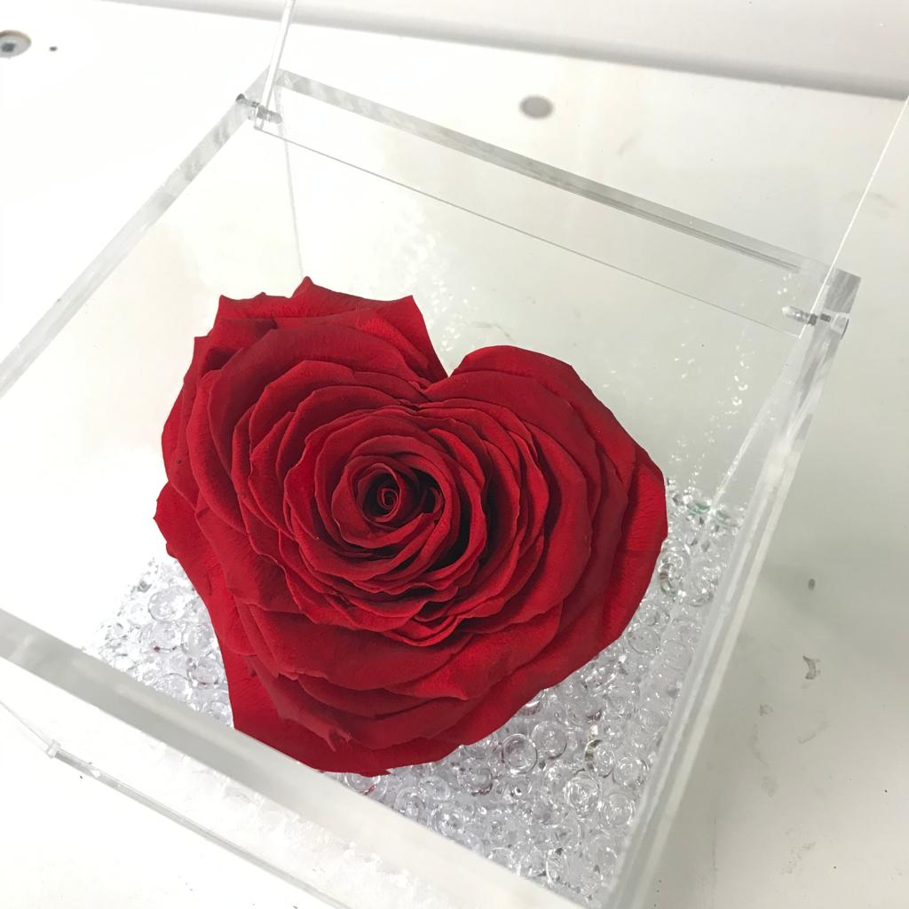 Rosa forma di Cuore - stabilizzata - immagine 3