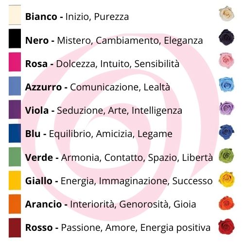Rosa stabilizzata multicolore XL - immagine 3